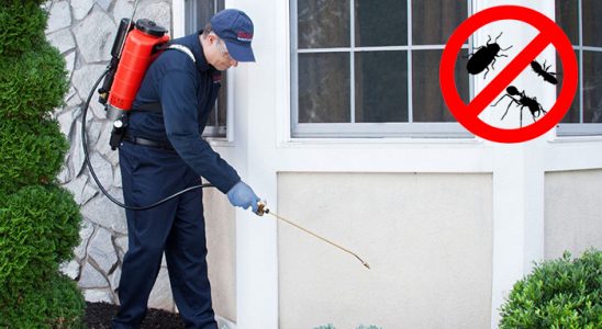 19 Mayıs Bit İlaçlama böcek ilaçlama ve haşere kontrolü — ilaclama-tr.com